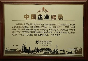 中國企業(ye)記錄（MKLD7140型數控強(qiang)力雙磨頭緩進(jìn)給成形磨床）